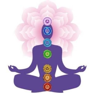 Lizzy Holistic Haven